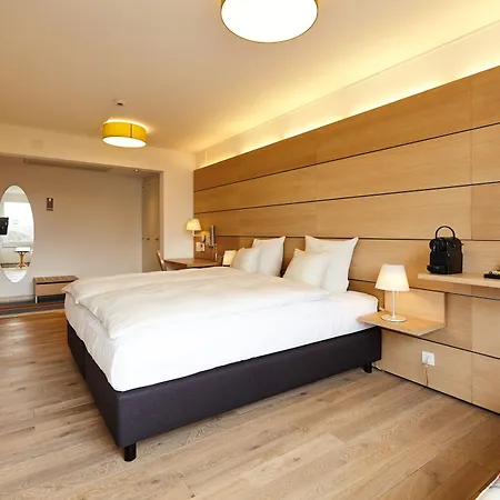 Hotel Steinenschanze Charming & Garden Basel