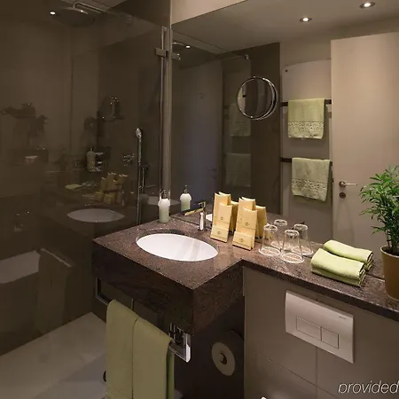 Steinenschanze Charming & Garden 3* Basel